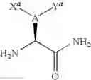 Fig. 60 - C-Terminal Attachment of Two Chemical Groups to Peptides