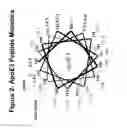 Fig. 03 - CYSTEINE-CONTAINING PEPTIDES HAVING ANTIOXIDANT PROPERTIES