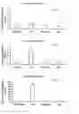 Fig. 03 - Inhibition of PPAR gamma expression by specific osteogenic oxysterols