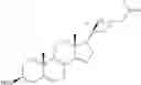 Fig. 15 - Inhibition of PPAR gamma expression by specific osteogenic oxysterols