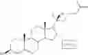 Fig. 16 - Inhibition of PPAR gamma expression by specific osteogenic oxysterols