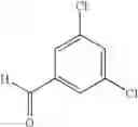Fig. 1008 - Substituted isoquinoline and isoquinolinone derivatives