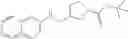 Fig. 46 - Substituted isoquinoline and isoquinolinone derivatives