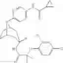 Fig. 188 - 11 β-HSD1 modulators