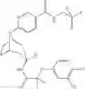 Fig. 189 - 11 β-HSD1 modulators