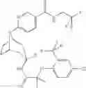 Fig. 240 - 11 β-HSD1 modulators
