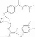 Fig. 538 - 11 β-HSD1 modulators