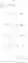 Fig. 38 - SUBSTITUTED DIMETHYLCYCLOBUTYL COMPOUNDS, THEIR PREPARATION AND USE IN MEDICAMENTS