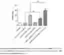 Fig. 08 - PHARMACEUTICAL COMPOSITIONS COMPRISING 3,5-DIAMINO-6-(2,3-DICHLOPHENYL)-1,2,4-TRIAZINE OR R(-)-2,4-DIAMINO-5-(2,3-DICHLOROPHENYL)-6-FLUOROMETHYL PYRIMIDINE AND AN NK1