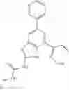 Fig. 46 - Gyrase inhibitors and uses thereof