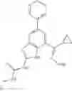 Fig. 48 - Gyrase inhibitors and uses thereof