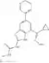 Fig. 49 - Gyrase inhibitors and uses thereof