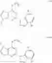 Fig. 06 - PURINYL DERIVATIVES AND THEIR USE AS POTASSIUM CHANNEL MODULATORS