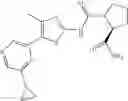 Fig. 173 - Pyrrolidine-1,2-dicarboxamide derivatives