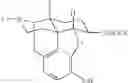 Fig. 11 - Polymer conjugates of opioid antagonists