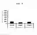 Fig. 03 - Benzamidine compound