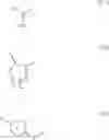 Fig. 06 - Benzamidine compound