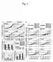 Fig. 05 - Suppression of cancer and method for evaluating anticancer agent based on the effect of inhibiting gsk3 beta