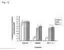 Fig. 13 - Suppression of cancer and method for evaluating anticancer agent based on the effect of inhibiting gsk3 beta