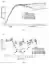 Fig. 07 - METHOD FOR TREATING METABOLIC DISEASES
