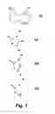 Fig. 02 - METHODS AND COMPOSITIONS FOR TREATMENT OF DRUG ADDICTION