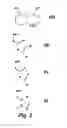 Fig. 04 - METHODS AND COMPOSITIONS FOR TREATMENT OF DRUG ADDICTION