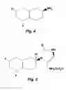 Fig. 05 - METHODS AND COMPOSITIONS FOR TREATMENT OF DRUG ADDICTION