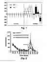 Fig. 07 - METHODS AND COMPOSITIONS FOR TREATMENT OF DRUG ADDICTION