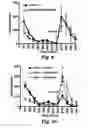 Fig. 08 - METHODS AND COMPOSITIONS FOR TREATMENT OF DRUG ADDICTION