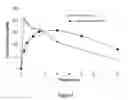 Fig. 10 - ABUSE RESISTANT LYSINE AMPHETAMINE COMPOUNDS