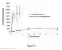 Fig. 12 - ABUSE RESISTANT LYSINE AMPHETAMINE COMPOUNDS