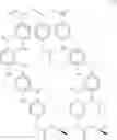 Fig. 03 - Derivatized polyhydroxystyrenes (DPHS) with a novolak type structure and blocked DPHS
(BDPHS) and processes for preparing the same