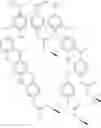 Fig. 05 - Derivatized polyhydroxystyrenes (DPHS) with a novolak type structure and blocked DPHS
(BDPHS) and processes for preparing the same