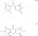 Fig. 10 - Photoactivable nitrogen bases