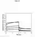 Fig. 15 - PVA-PAA hydrogels