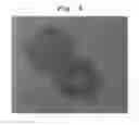 Fig. 03 - Optically anisotropic compound and resin composition comprising the same