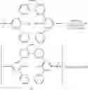 Fig. 16 - Metal complex
