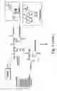 Fig. 07 - DENDRIMERIC PLATFORM FOR CONTROLLED RELEASE OF DRUGS