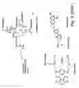 Fig. 09 - DENDRIMERIC PLATFORM FOR CONTROLLED RELEASE OF DRUGS