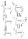 Fig. 14 - DENDRIMERIC PLATFORM FOR CONTROLLED RELEASE OF DRUGS