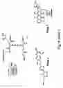 Fig. 15 - DENDRIMERIC PLATFORM FOR CONTROLLED RELEASE OF DRUGS