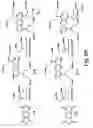 Fig. 22 - DENDRIMERIC PLATFORM FOR CONTROLLED RELEASE OF DRUGS