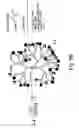 Fig. 24 - DENDRIMERIC PLATFORM FOR CONTROLLED RELEASE OF DRUGS