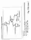 Fig. 41 - DENDRIMERIC PLATFORM FOR CONTROLLED RELEASE OF DRUGS