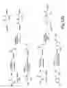 Fig. 47 - DENDRIMERIC PLATFORM FOR CONTROLLED RELEASE OF DRUGS