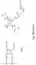 Fig. 54 - DENDRIMERIC PLATFORM FOR CONTROLLED RELEASE OF DRUGS