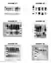 Fig. 07 - Nucleic acids and proteins from groups A & B