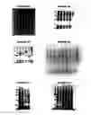Fig. 11 - Nucleic acids and proteins from groups A & B