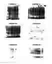 Fig. 12 - Nucleic acids and proteins from groups A & B