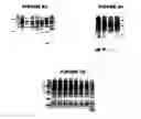 Fig. 16 - Nucleic acids and proteins from groups A & B